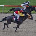 Göztepe Koşusu Galibi Yeltay