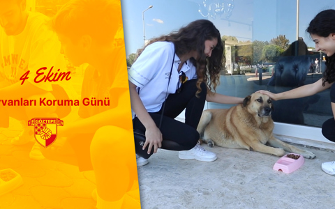 Bol Bol Sevgi ve #BirKapSuBirKapMama🐶🐱#4EkimHayvanlarıKorumaGünü